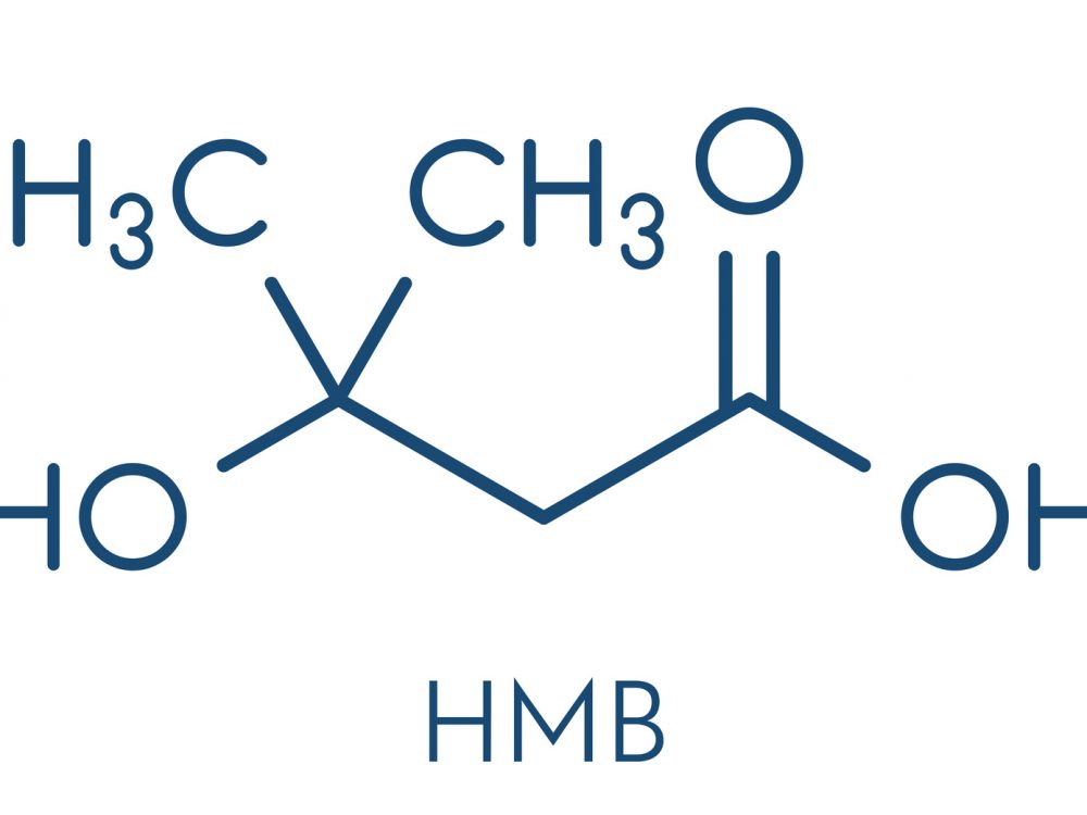 HMBの構成元素